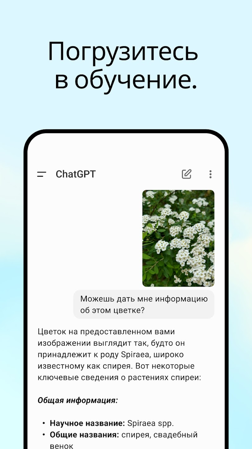 Скриншот 6 — ChatGPT